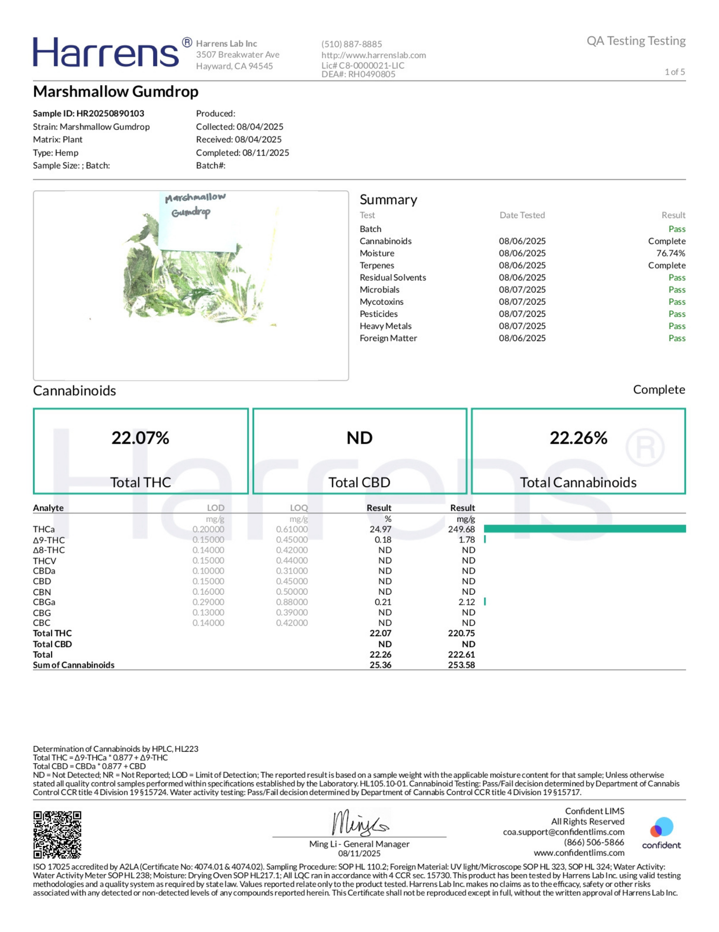 Marshmallow Gumdrop THCA Flower
