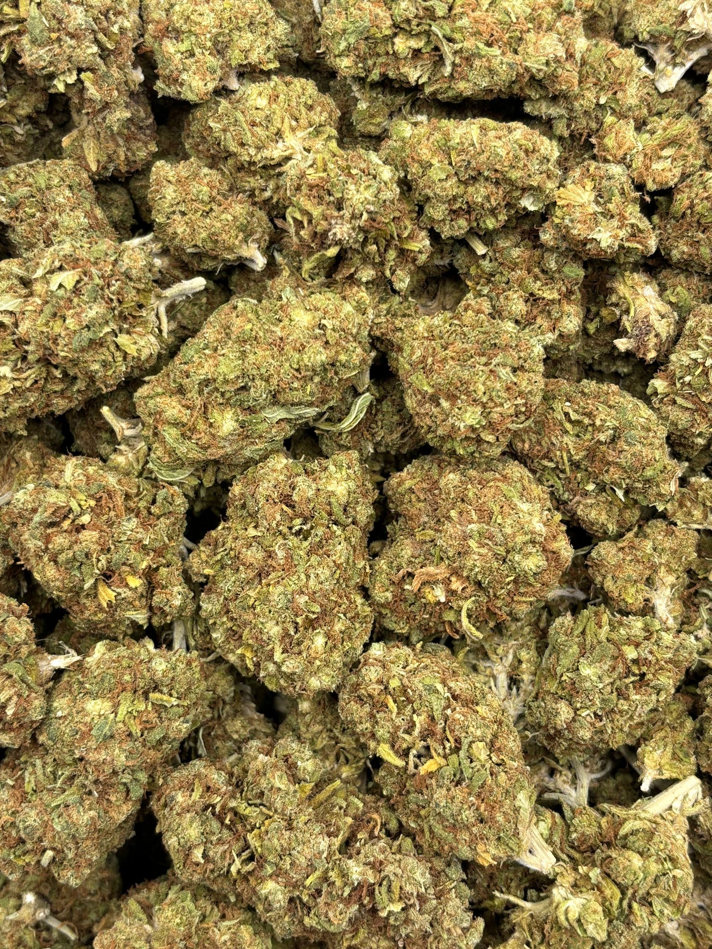 Rainbow Gusherz THCA Flower