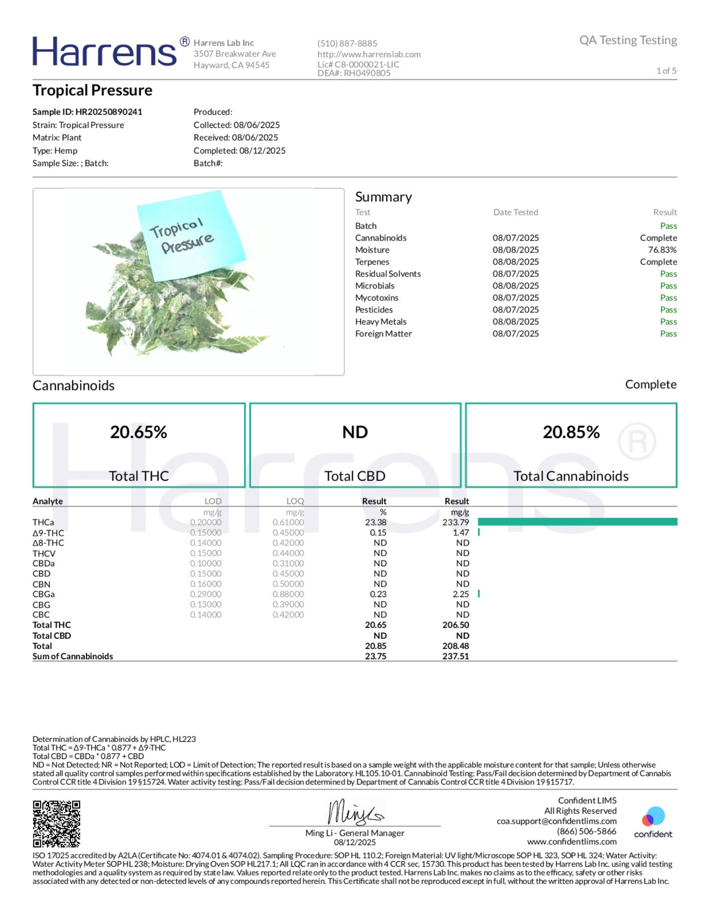 Tropical Pressure THCA Flower