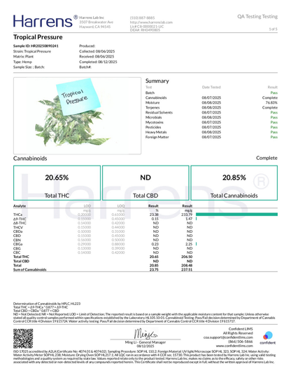 Tropical Pressure THCA Flower