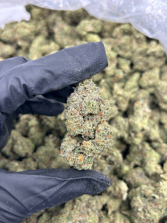 Zour Runtz THCA Flower