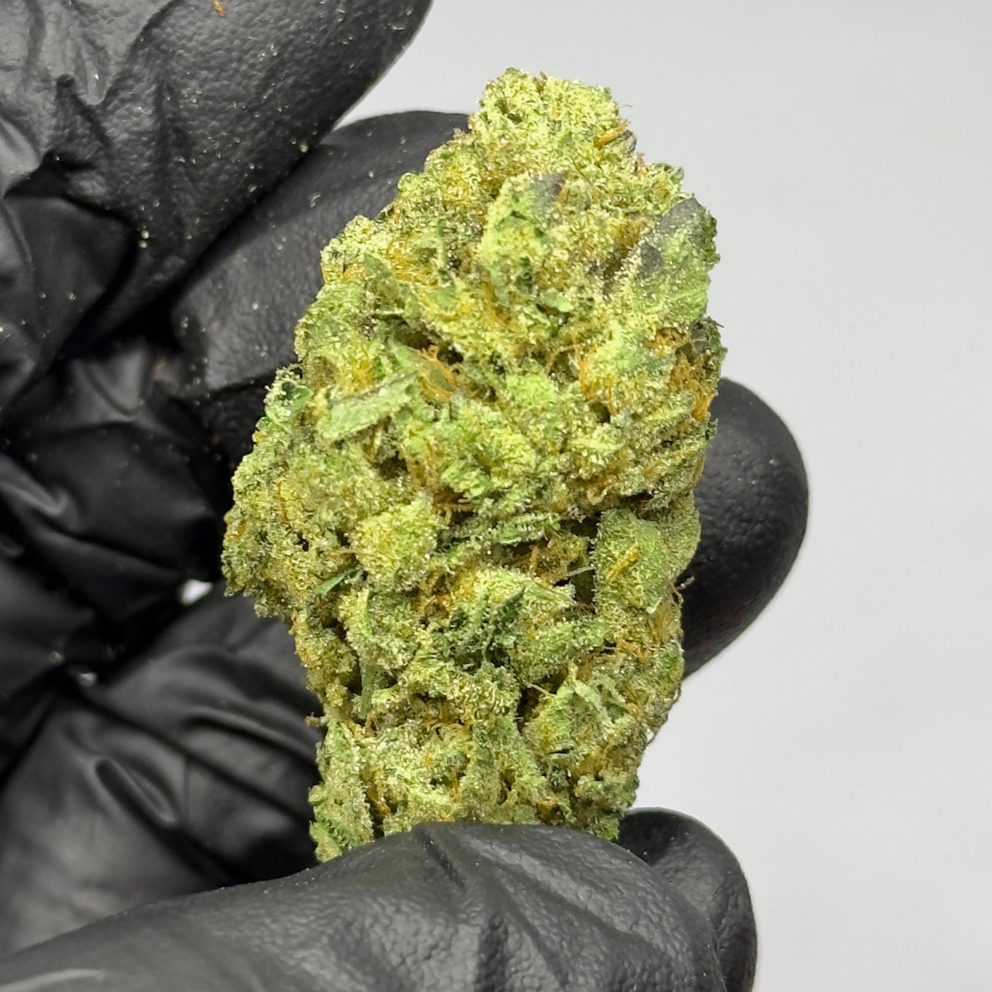 Lemon Cherry Gelato