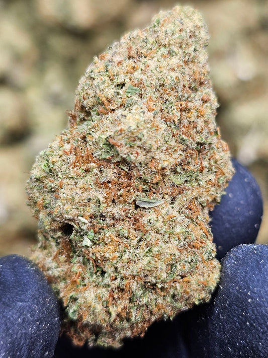 Lemon Pie