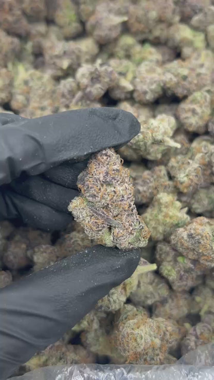 Wild Stawberry Runtz THCA Flower