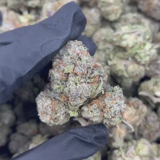 Sherbcake THCA Flower