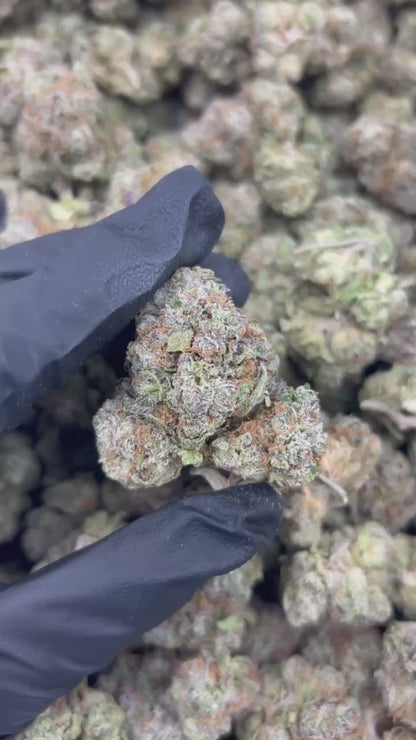 Sherbcake THCA Flower