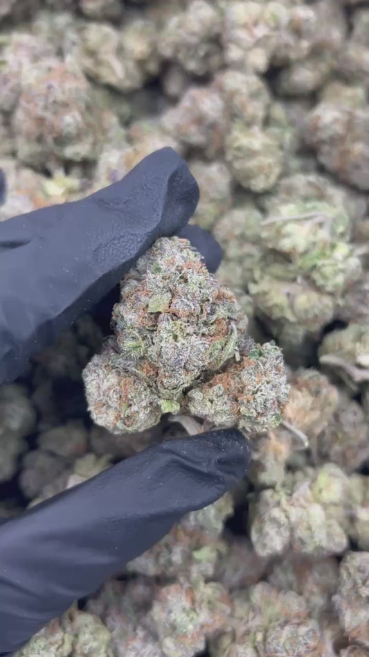 Sherbcake THCA Flower