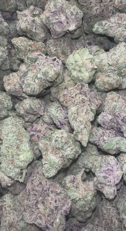 Pink Zots
