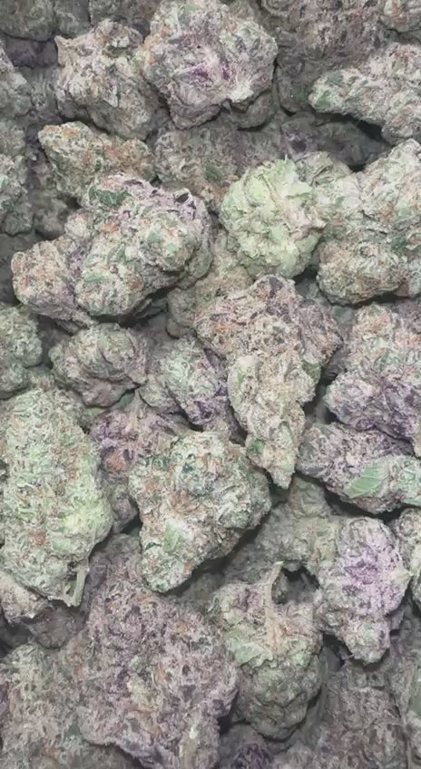 Pink Zots