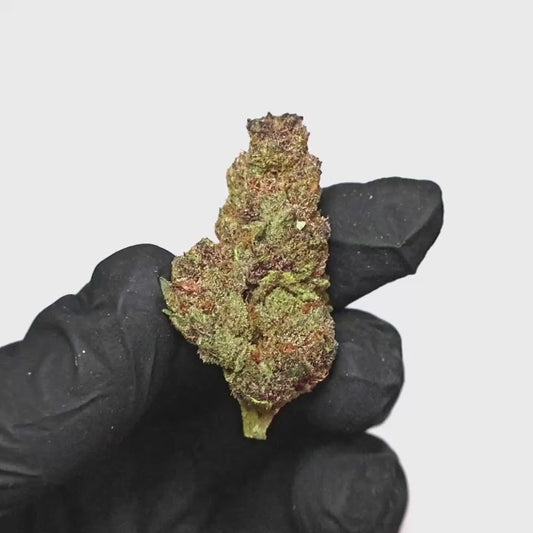 Tropicana Cherry