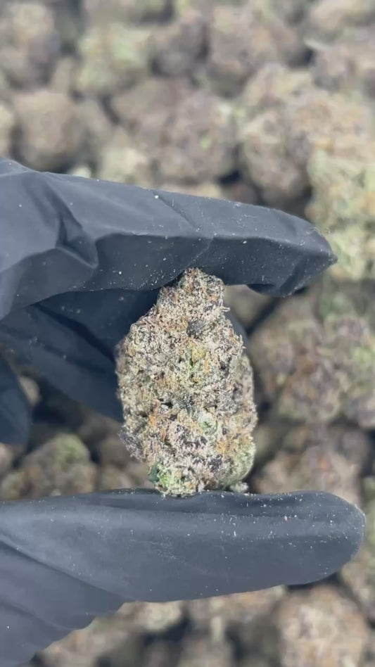 Black Cherry Gelato THCA Flower