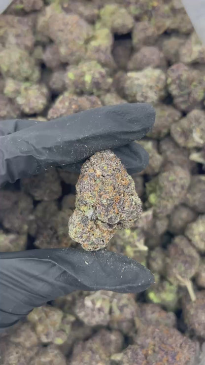 Grand Daddy Purp THCA Flower