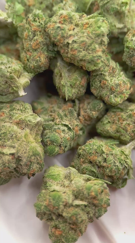 Blue Skunk