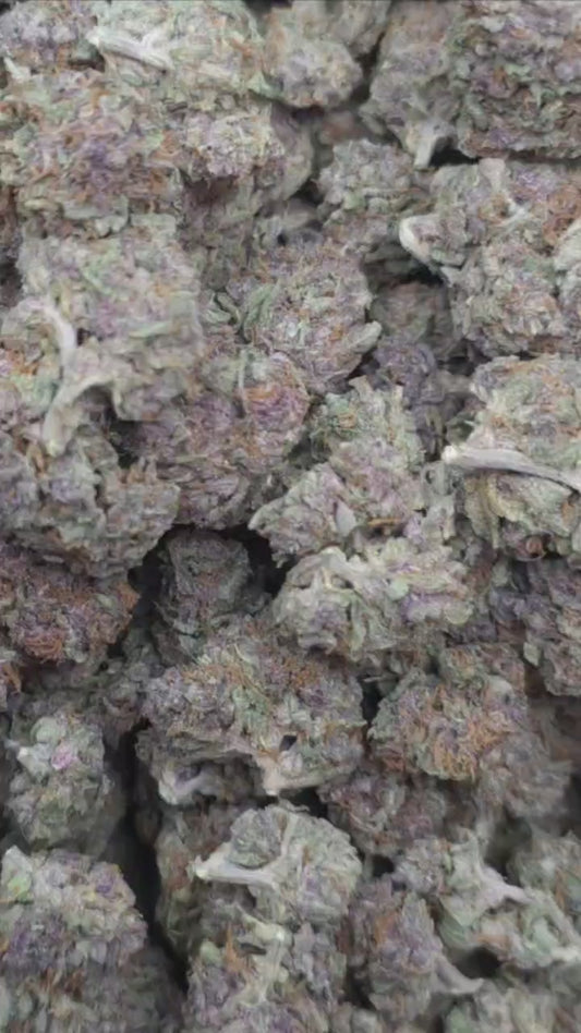 Tropicana Gelato