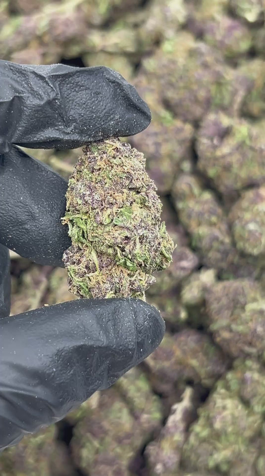 Tropical Pressure THCA Flower