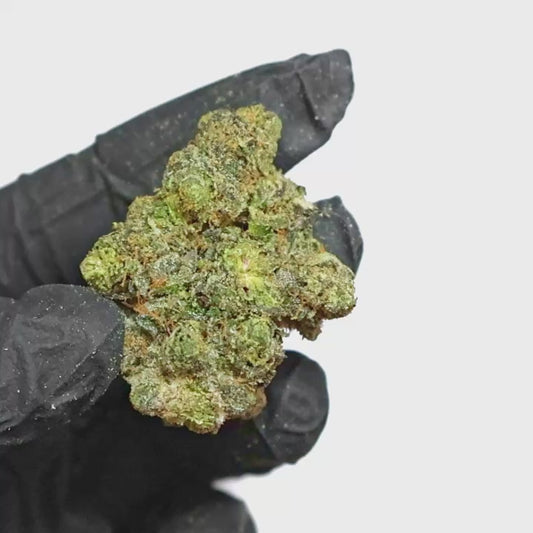 Sunset Sherbet