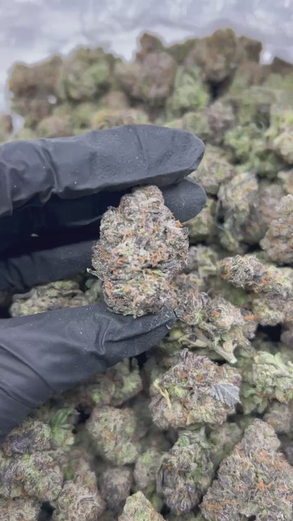 Forbidden Flower THCA Flower