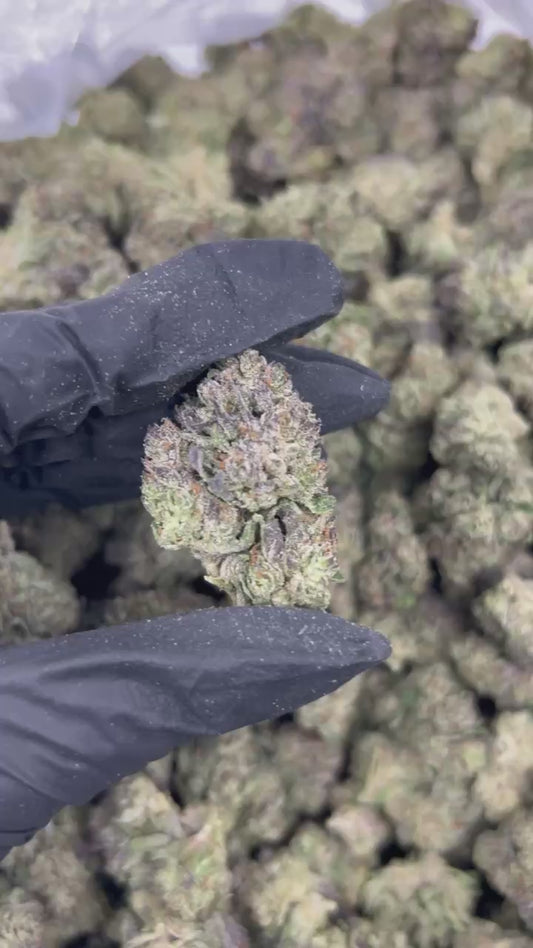 Alien Fritter THCA Flower