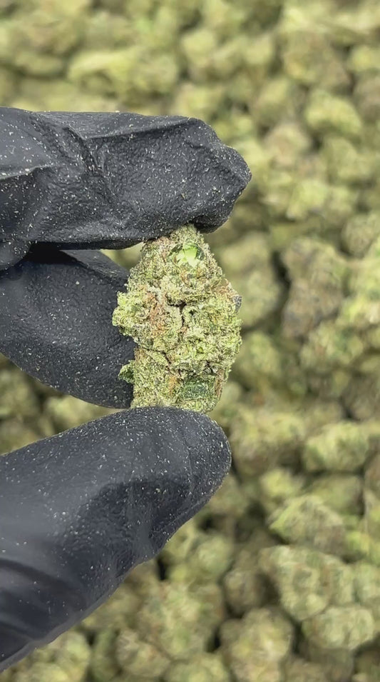 Bubblegum Popperz THCA Flower