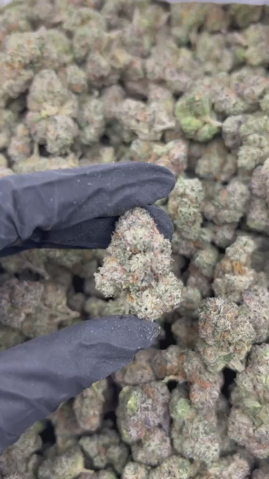 Lemon Cherry Baccarat THCA Flower