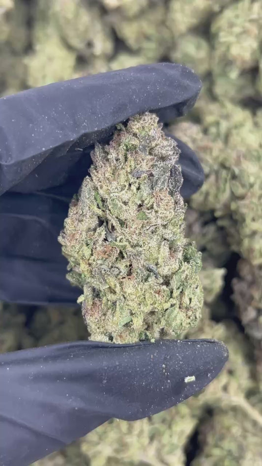 Grape Stomper THCA Flower