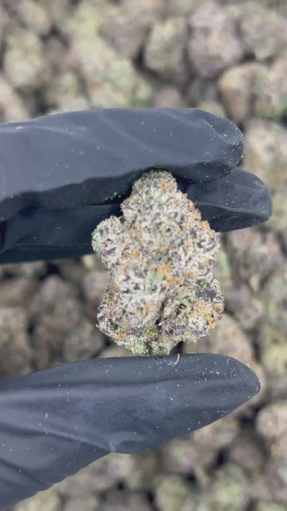 Ruby Glacier Punch THCA Flower