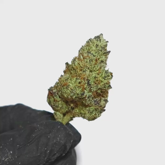 Purple Voodoo