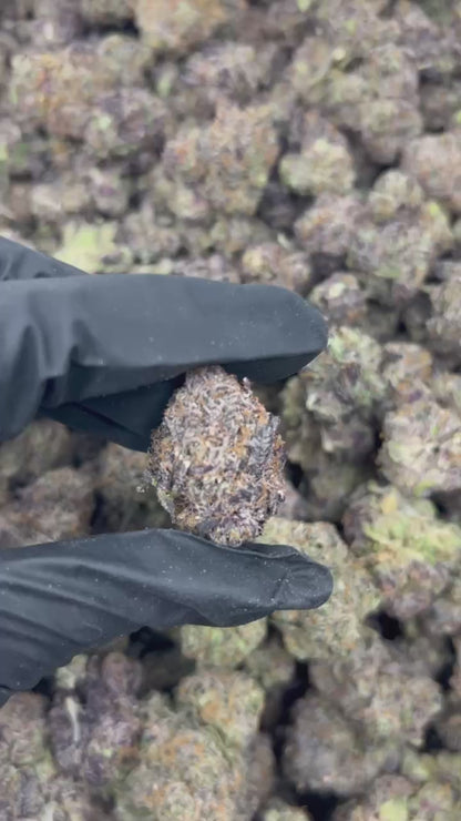 Bompton Berriez THCA Flower