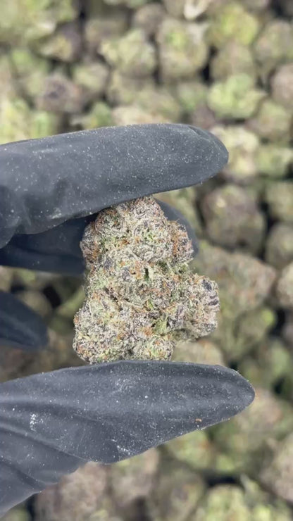 Rainbow Sherbet THCA Flower