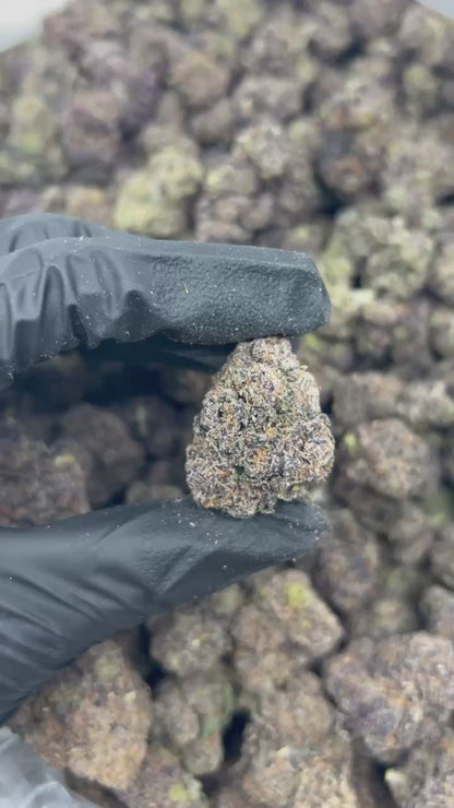 Blue Cookies THCA Flower