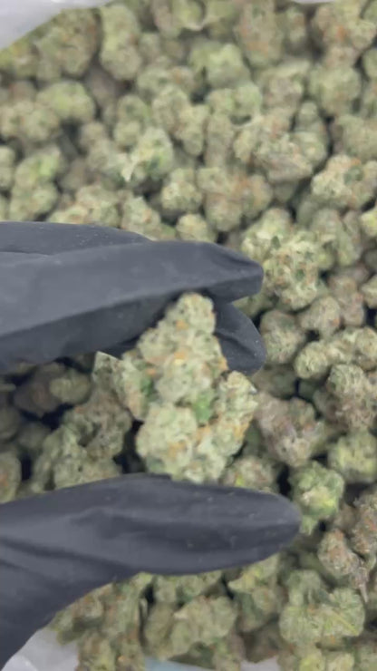 Gary Payton THCA Flower