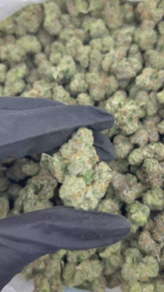 Gary Payton THCA Flower