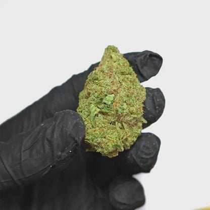 Honey Guava