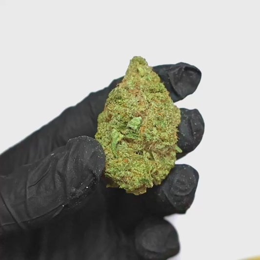 Honey Guava