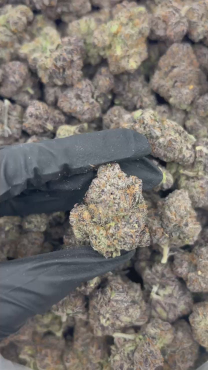 Bubblegum Gelato THCA Flower