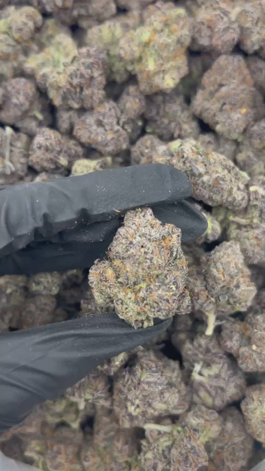 Bubblegum Gelato THCA Flower