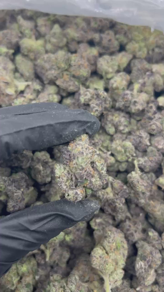 Gumbolato THCA Flower