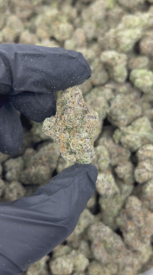 Strawberry Lemonade Gelato THCA Flower