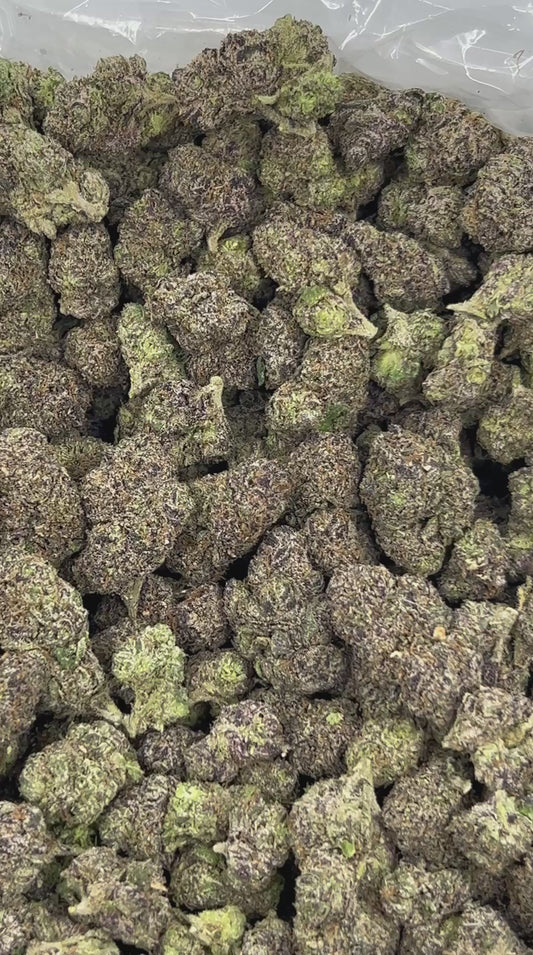 Blue Guava Purp THCA Flower