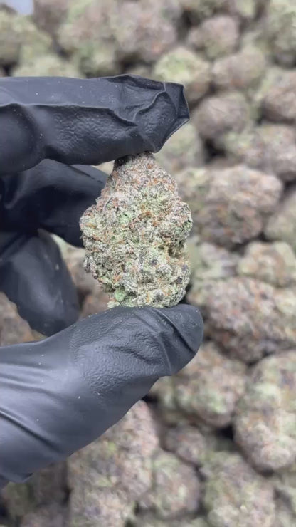 Purple Gas Mintz THCA Flower