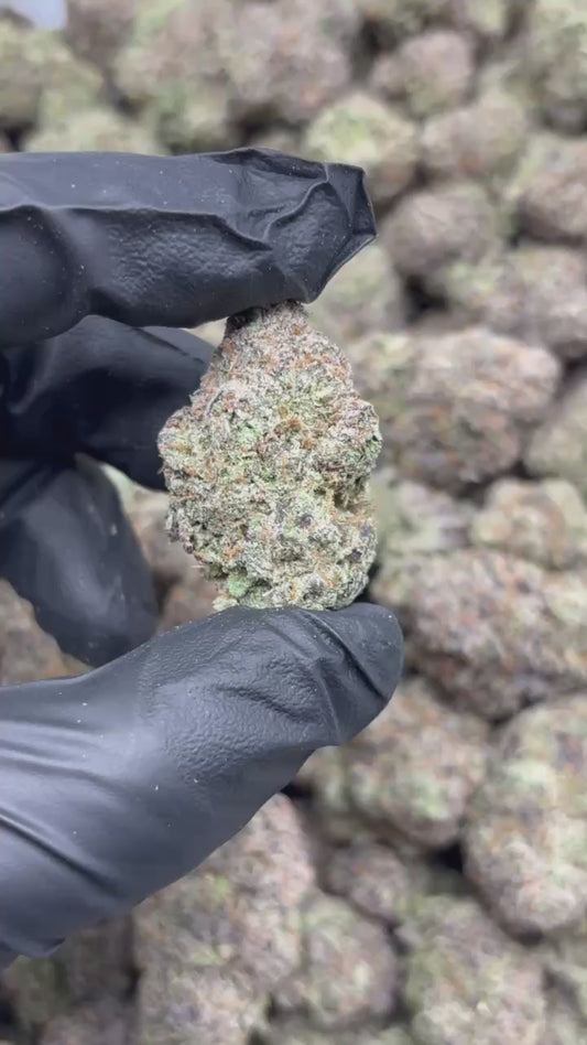 Purple Gas Mintz THCA Flower