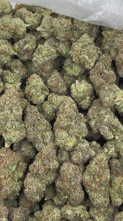 Crimson Sherbet THCA Flower