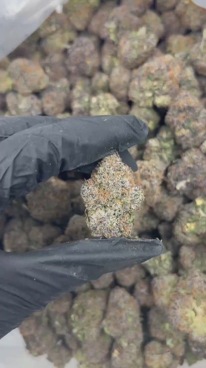 Cherry AK-47 THCA Flower