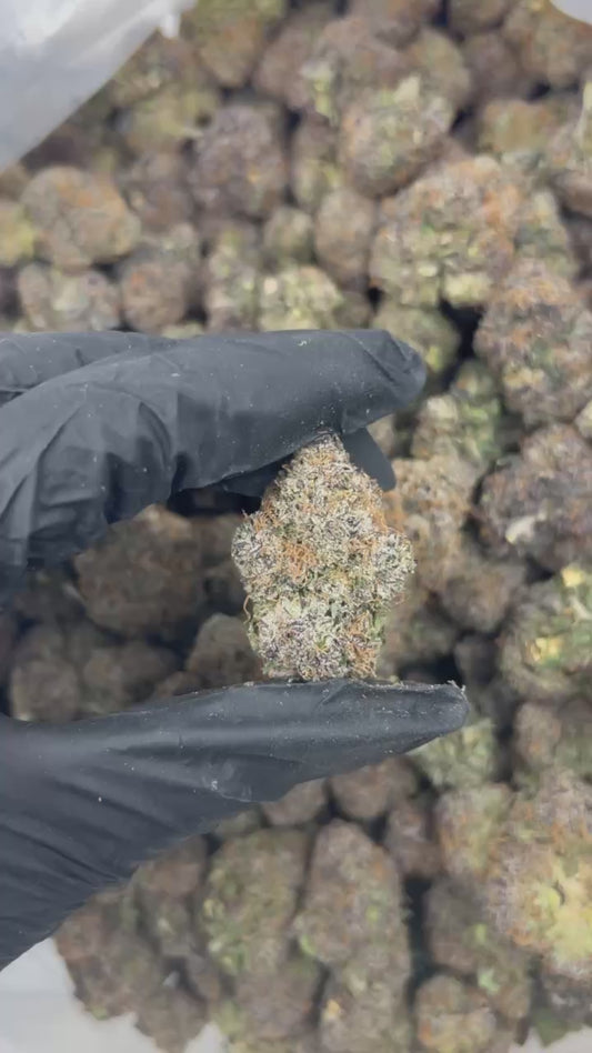 Cherry AK-47 THCA Flower