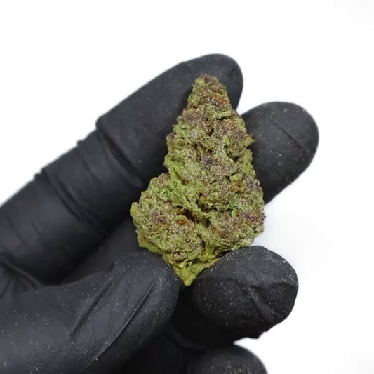 Gorilla Skunk