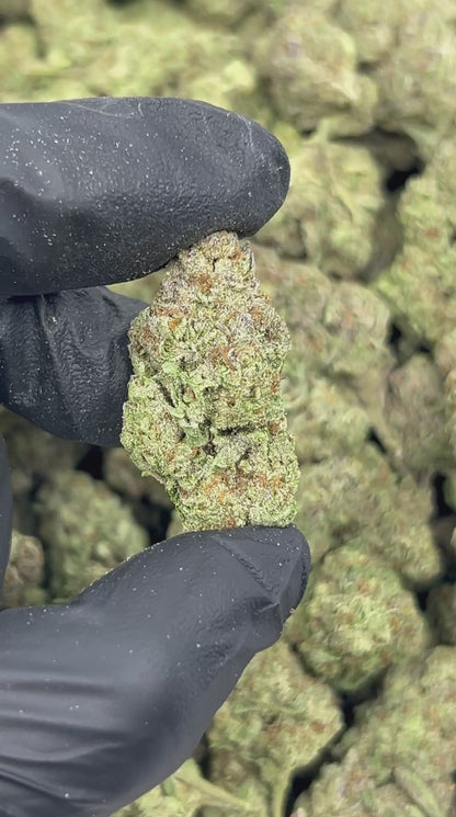 Ice Cream Cake THCA Flower