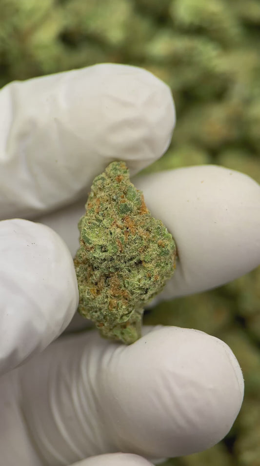 Super Silver Haze