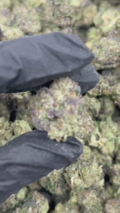 Strawberry Gelatti THCA Flower