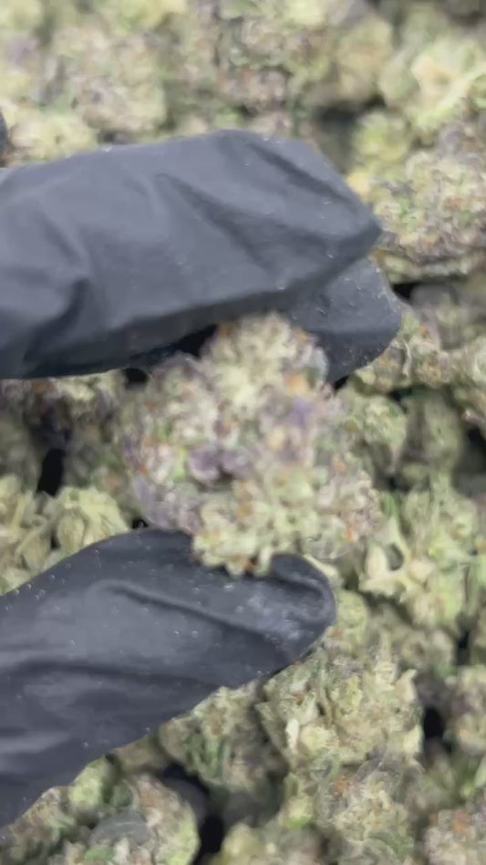 Strawberry Gelatti THCA Flower