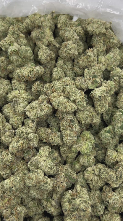 White Cherry Freeze THCA Flower